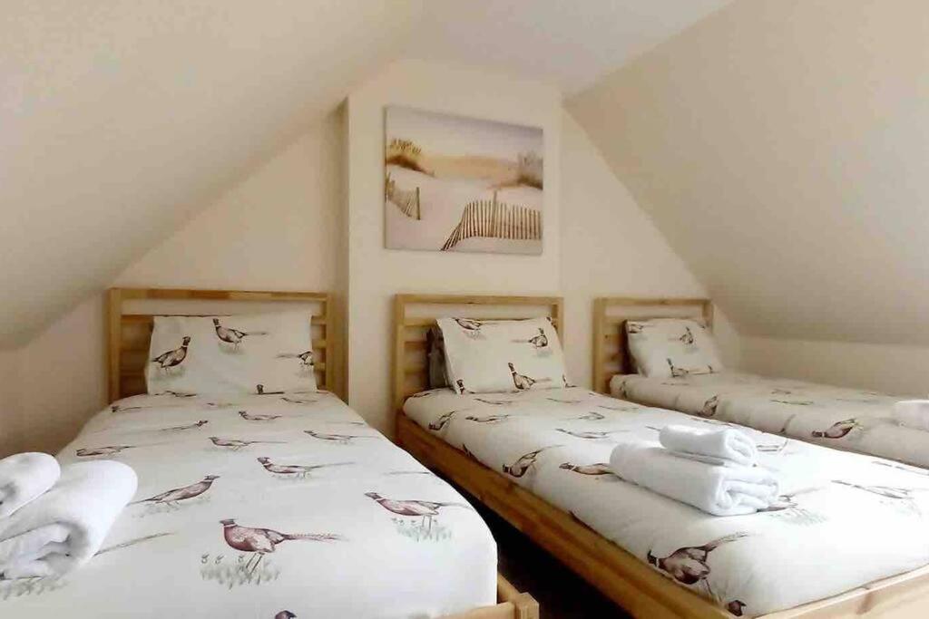 Fraser House - City Centre - Free Parking Villa Инвернес Екстериор снимка